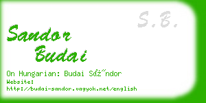 sandor budai business card